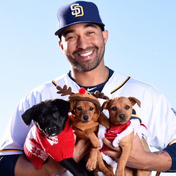 padres and puppies 91x fm