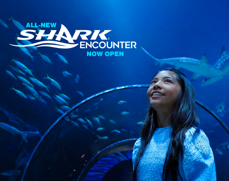 Win Tickets to SeaWorld San Diego